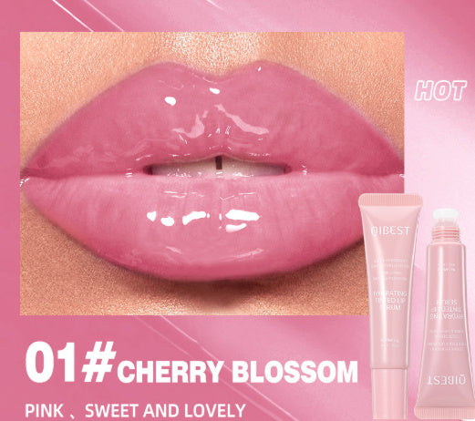 Home Moisturizing Liquid Colored Lip Gloss