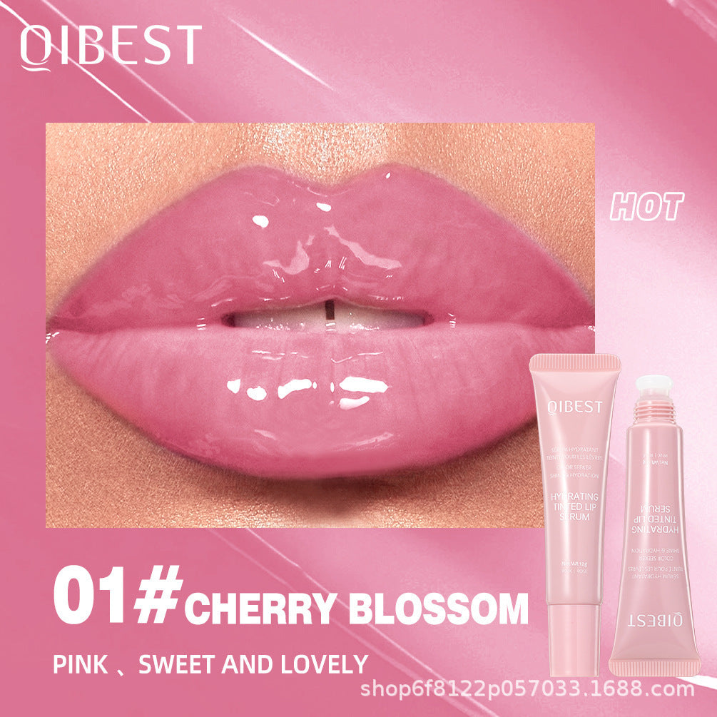 Home Moisturizing Liquid Colored Lip Gloss