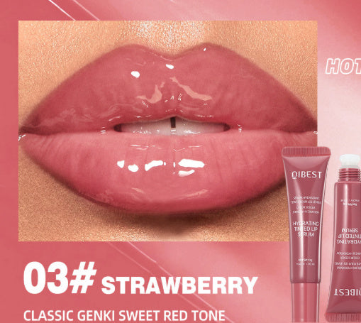 Home Moisturizing Liquid Colored Lip Gloss